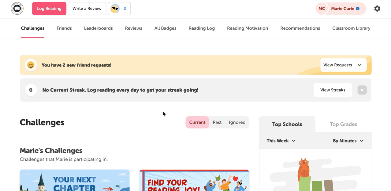 Student experience of the Reading Motivation Index (RMI)